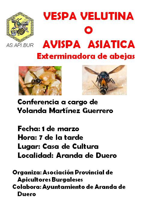 2019 aranda charla velutina