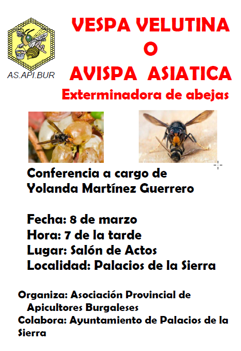 2019 palacios de la sierra charla velutina