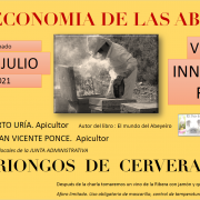 20200710 la economia de las abjeas