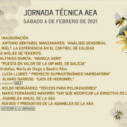 2021 aea cartel jornada te cnica pdf