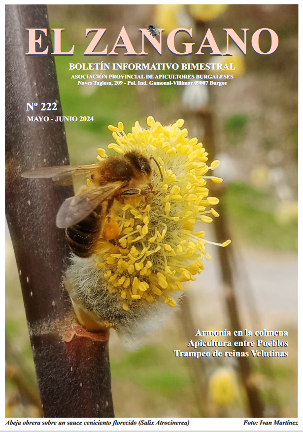 222 portada