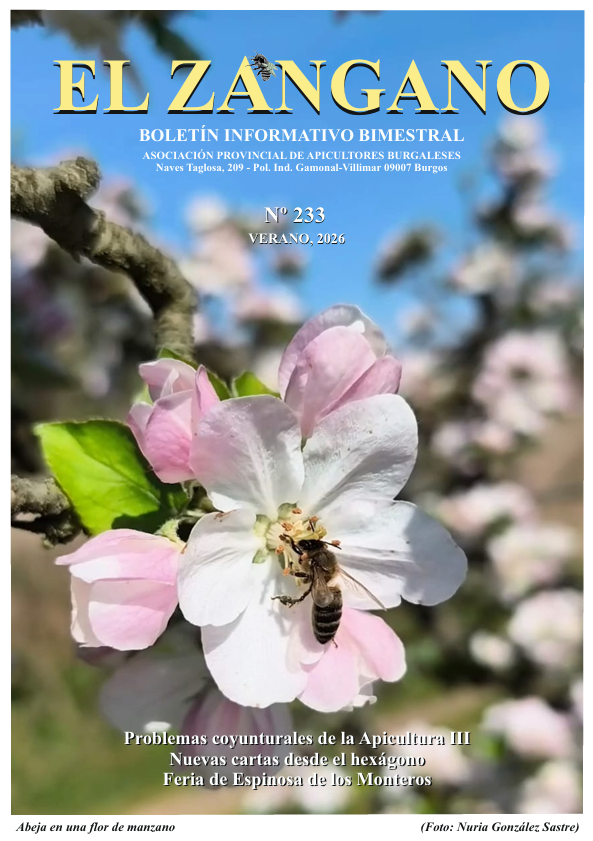 233 portada