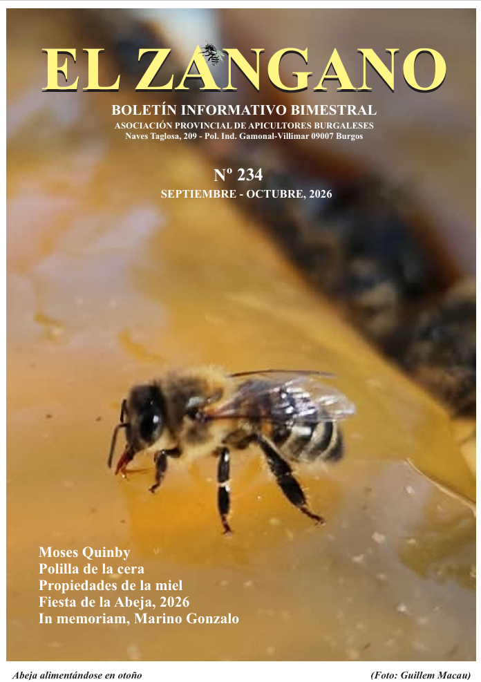 234 portada