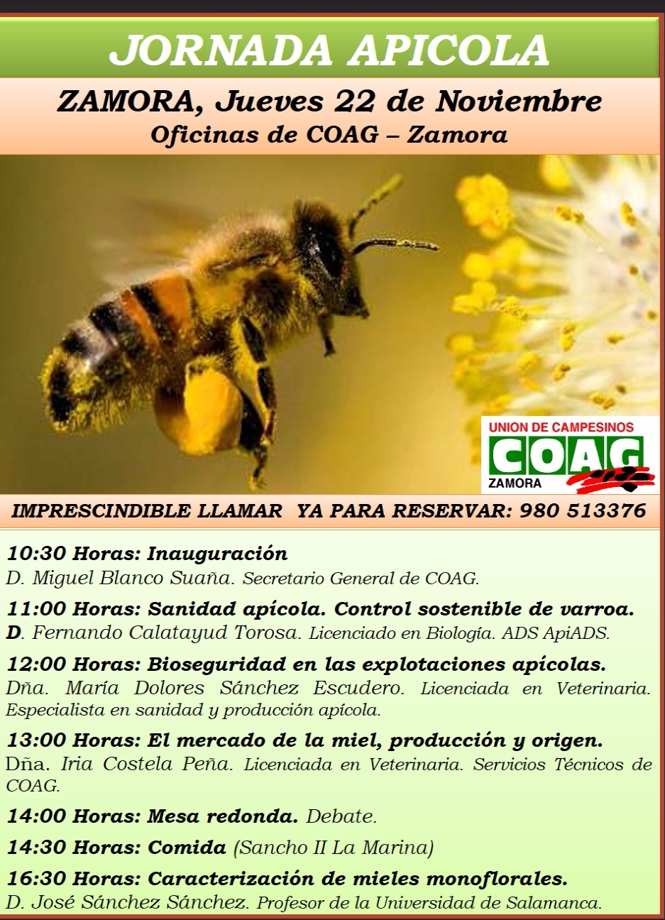 Coag zamora 2018