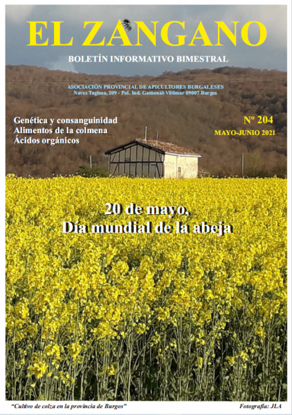 El zangano 204 portada