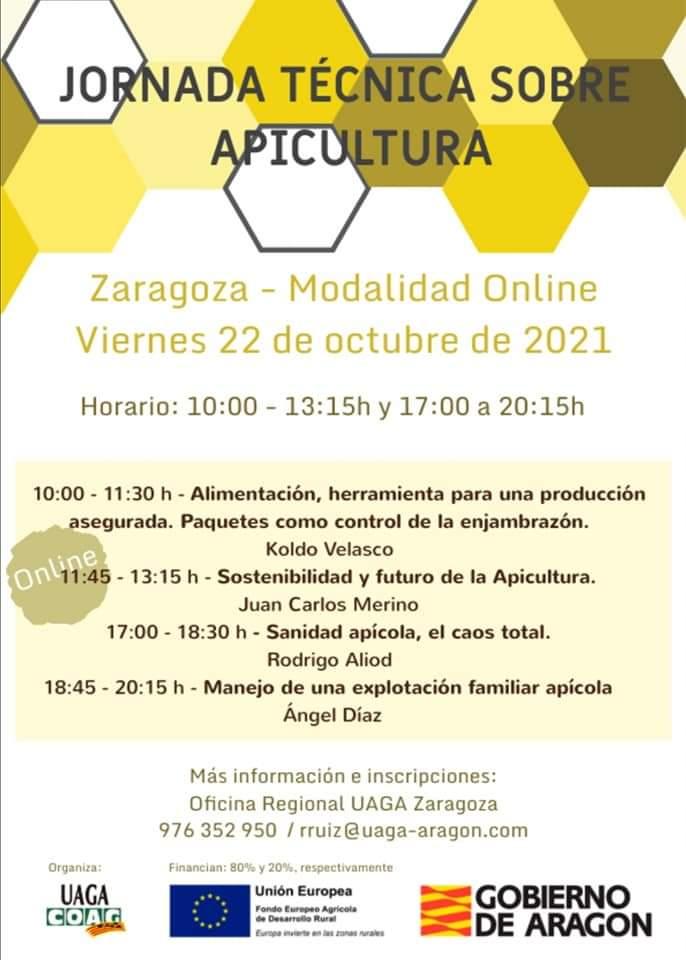 Online zaragoza