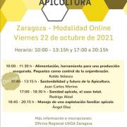 Online zaragoza